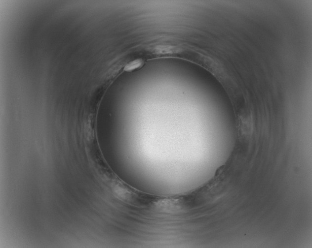 X0000062610422200512281508