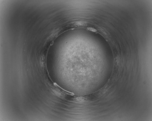 X0000062610423200512281508