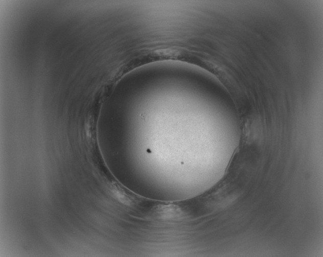 X0000062610424200512281508