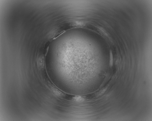 X0000062610425200512281508