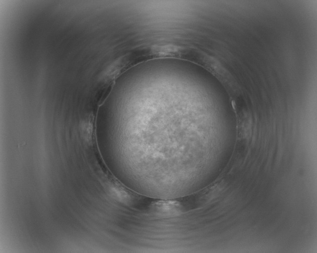 X0000062610427200512281508