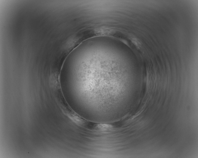 X0000062610429200512281508