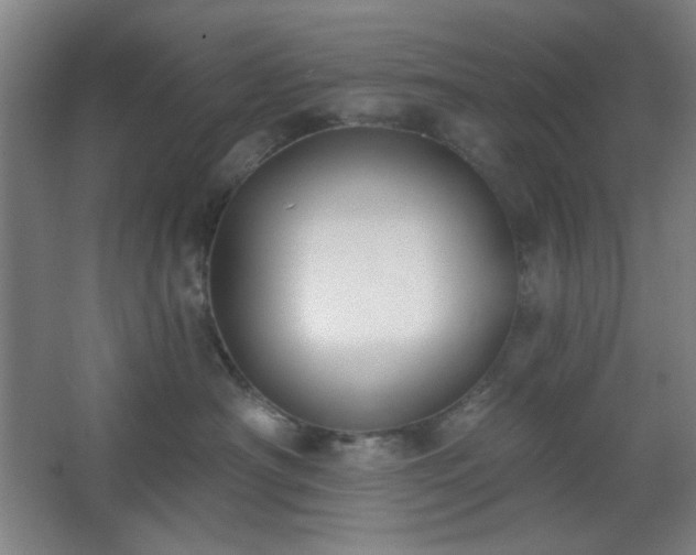 X0000062610430200512281508