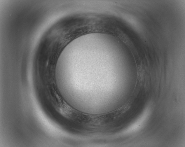 X0000062610431200512281508