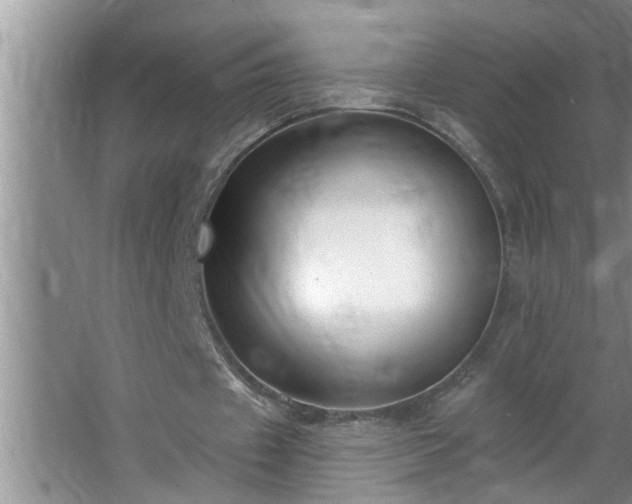 X0000062610433200512281507