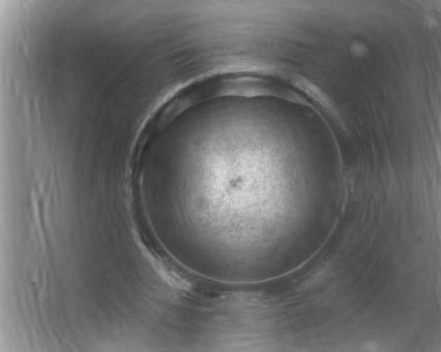 X0000062610436200512281507