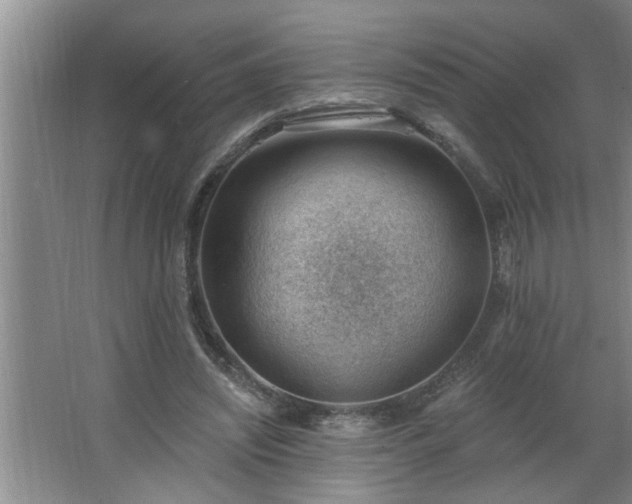 X0000062610444200512281508