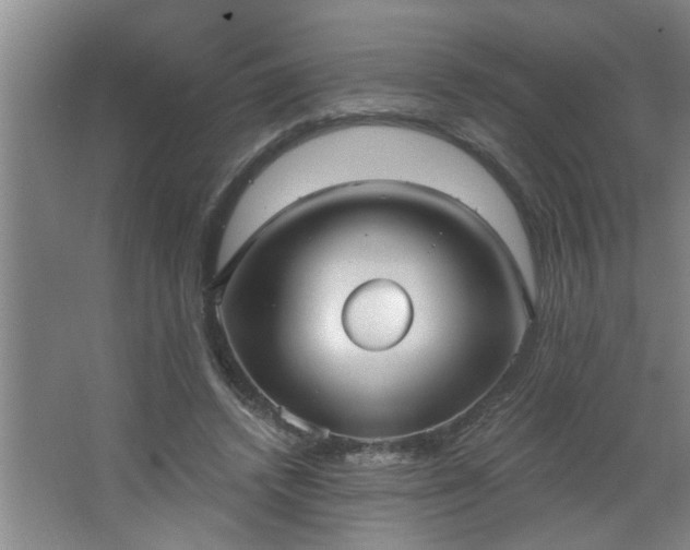 X0000062610448200512281508