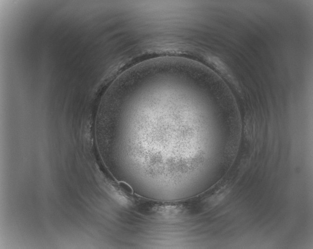 X0000062610449200512281508