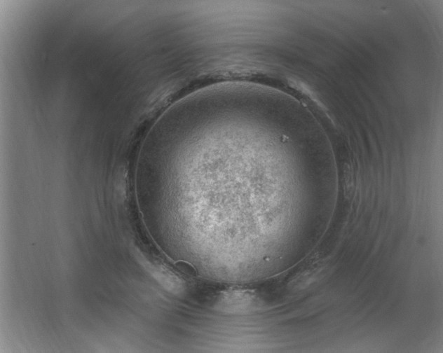 X0000062610451200512281508