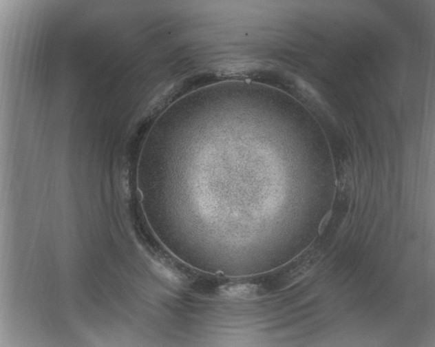 X0000062610452200512281508