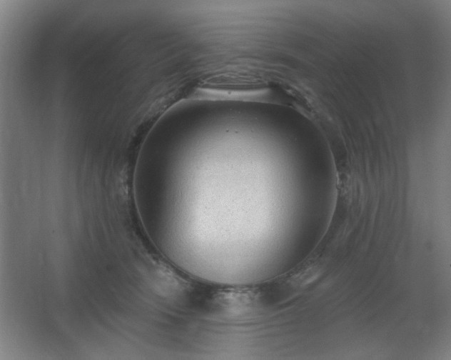 X0000062610466200512281508