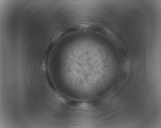 X0000062610467200512281508