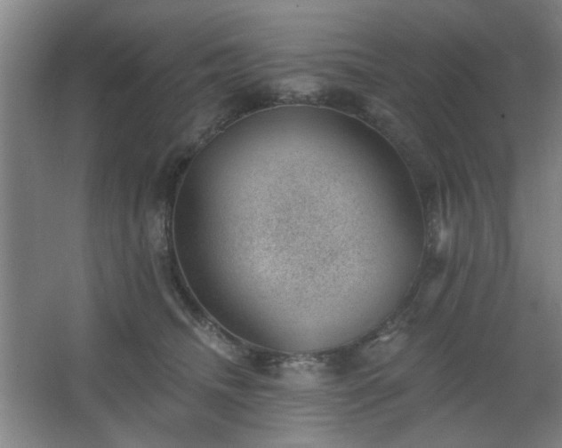 X0000062610468200512281508