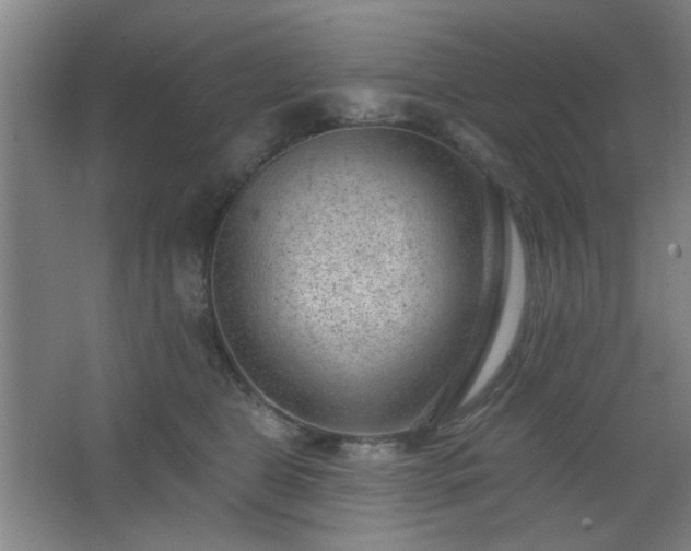 X0000062610469200512281508