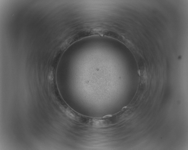 X0000062610472200512281508