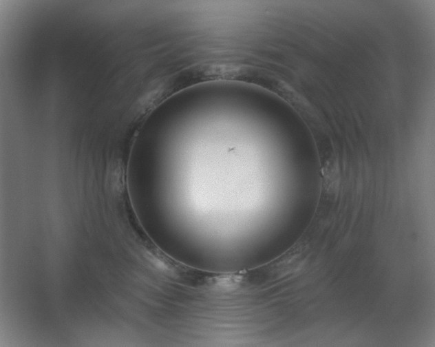 X0000062610474200512281508