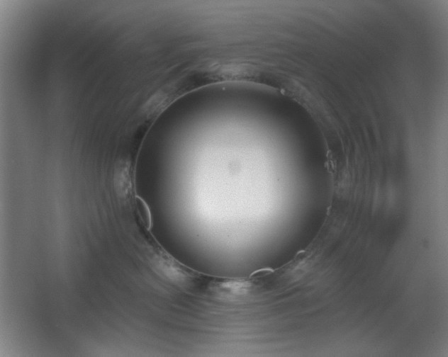 X0000062610478200512281508