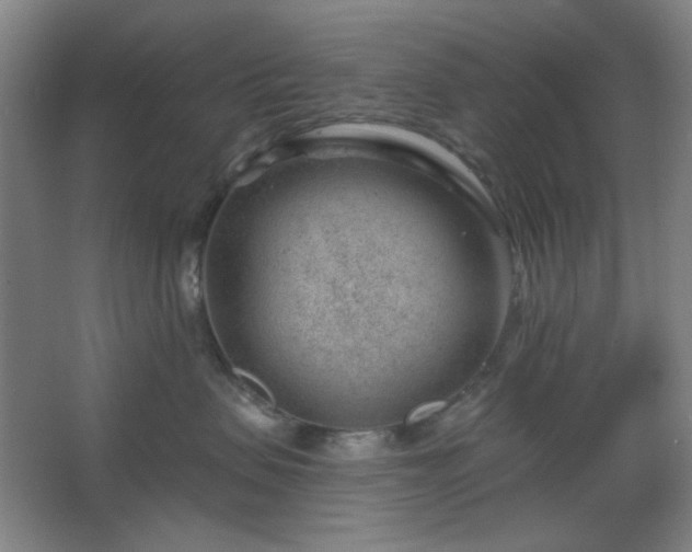 X0000062610479200512281508