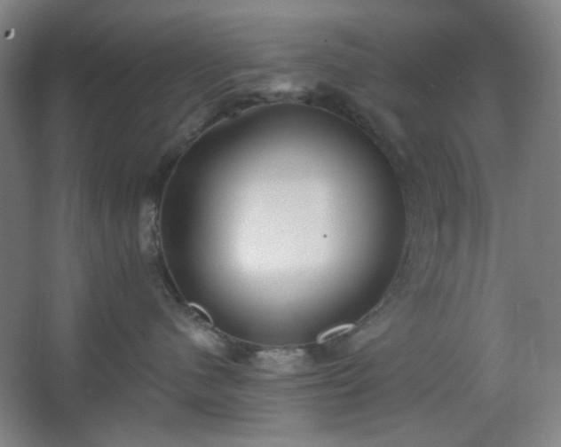 X0000062610480200512281508