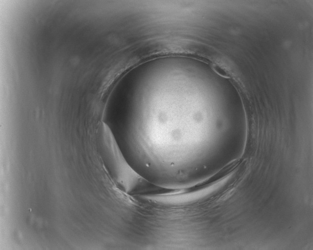 X0000062610481200512281507