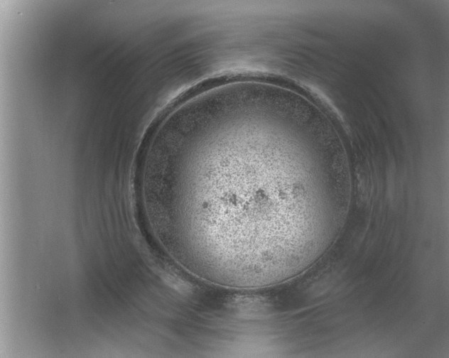 X0000062610487200512281507