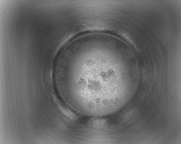 X0000062610491200512281507