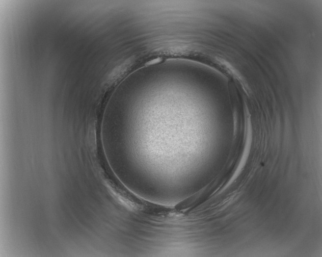 X0000062610493200512281507