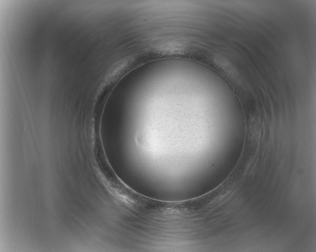 X0000062610494200512281507