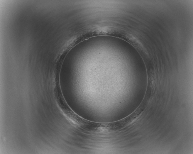 X0000062610496200512281507