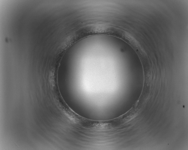 X0000062610497200512281507