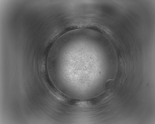 X0000062610499200512281507