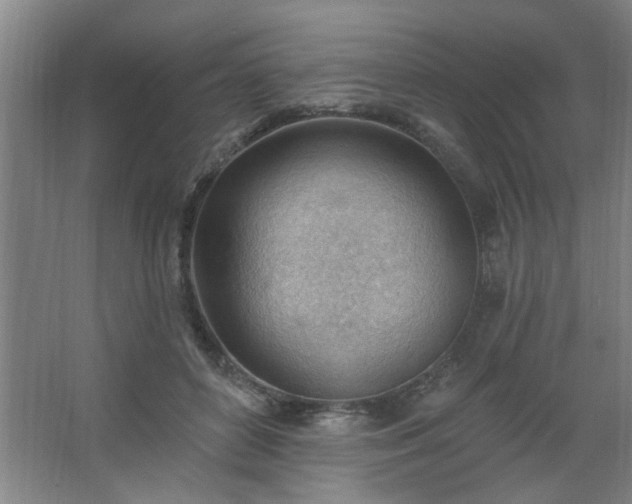 X0000062610504200512281507