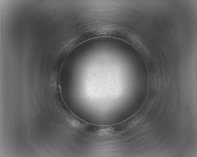 X0000062610505200512281507