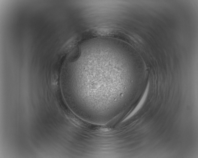 X0000062610507200512281507