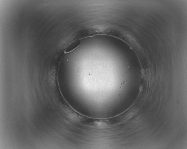 X0000062610509200512281507