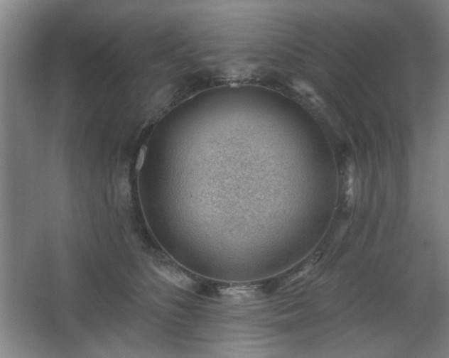 X0000062610516200512281507