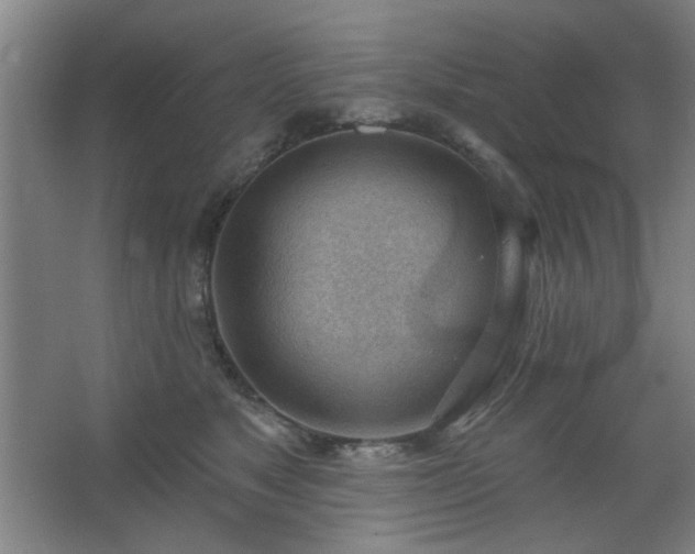 X0000062610517200512281507