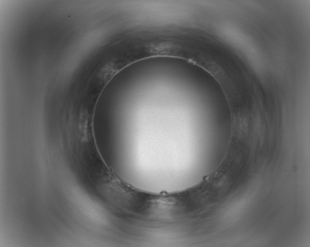 X0000062610525200512281507