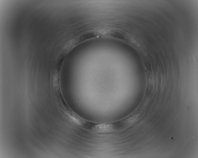 X0000062610526200512281507