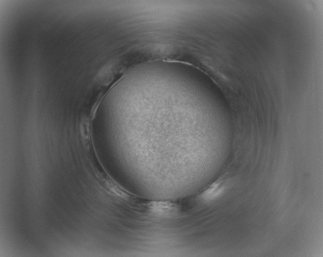 X0000062610528200512281507