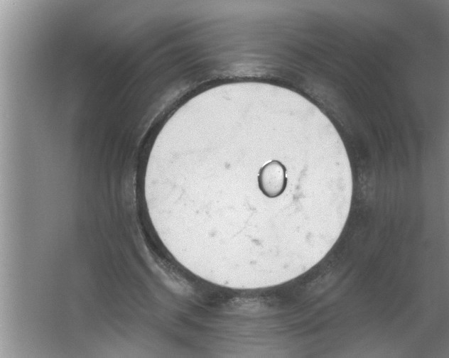 X0000062610534200512281506