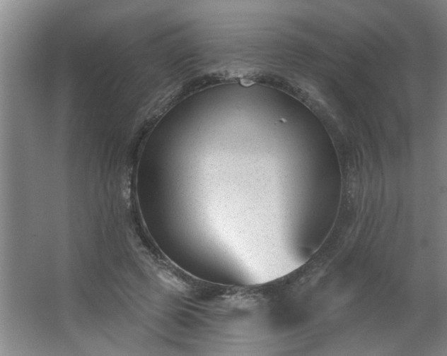 X0000062610545200512281506