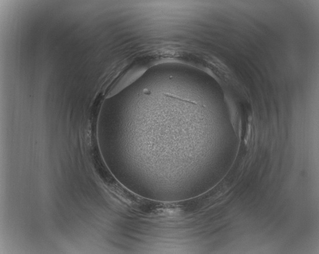 X0000062610552200512281506