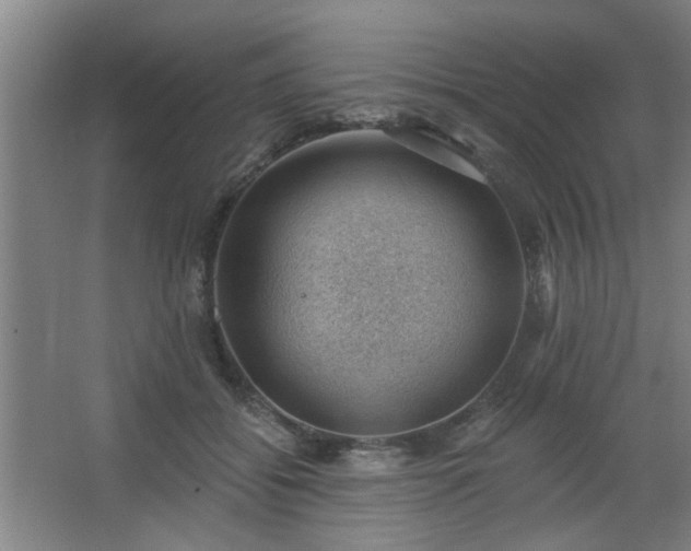 X0000062610556200512281506