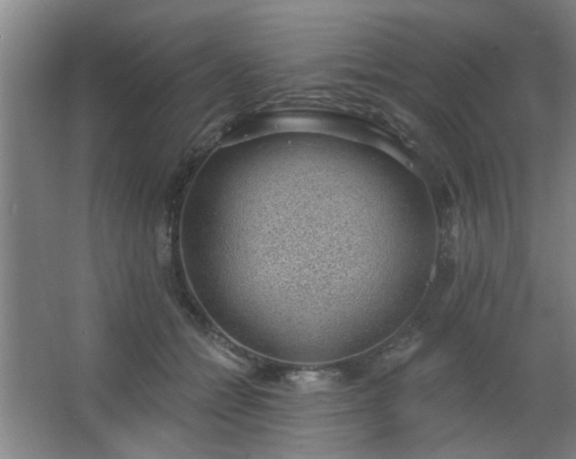 X0000062610558200512281506