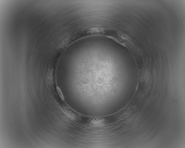 X0000062610560200512281506