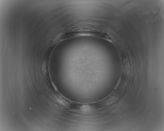 X0000062610562200512281506