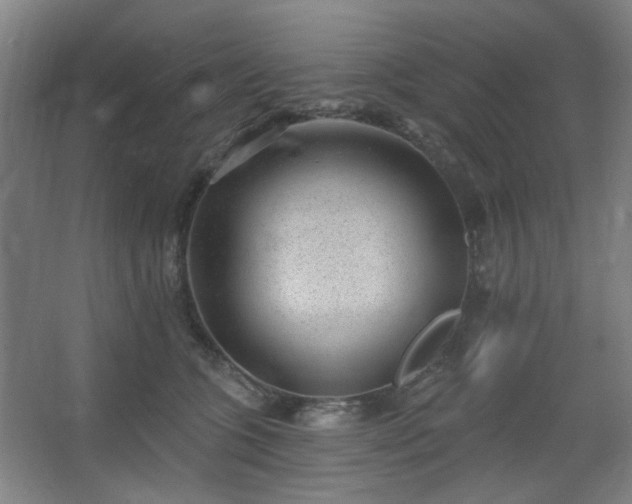 X0000062610563200512281506