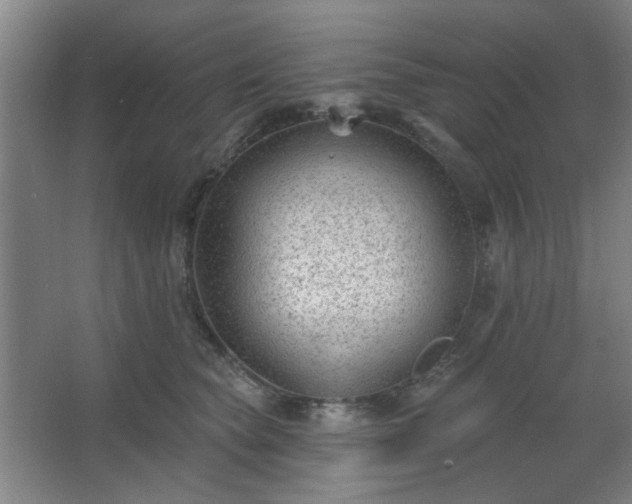 X0000062610565200512281506